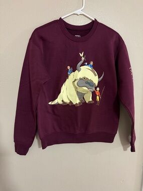 Nickelodeon Maroon Crewneck with Appa Graphic